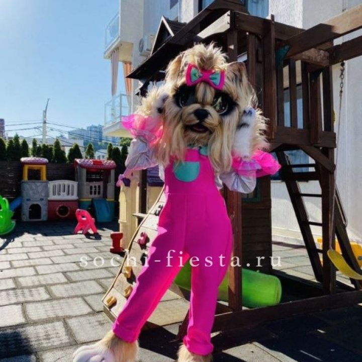 Аниматор Гламурная Собака в Таганроге