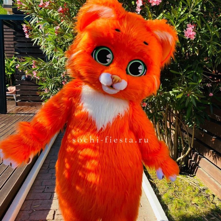 Аниматор Котик в Таганроге