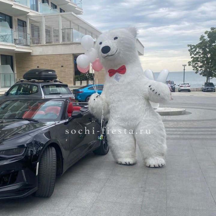 Аниматор Белый Медведь в Таганроге