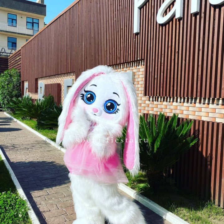 Аниматор Зайка в Таганроге