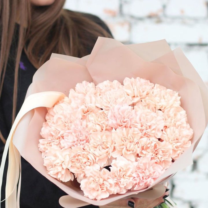 Диантусы №2 в Таганроге