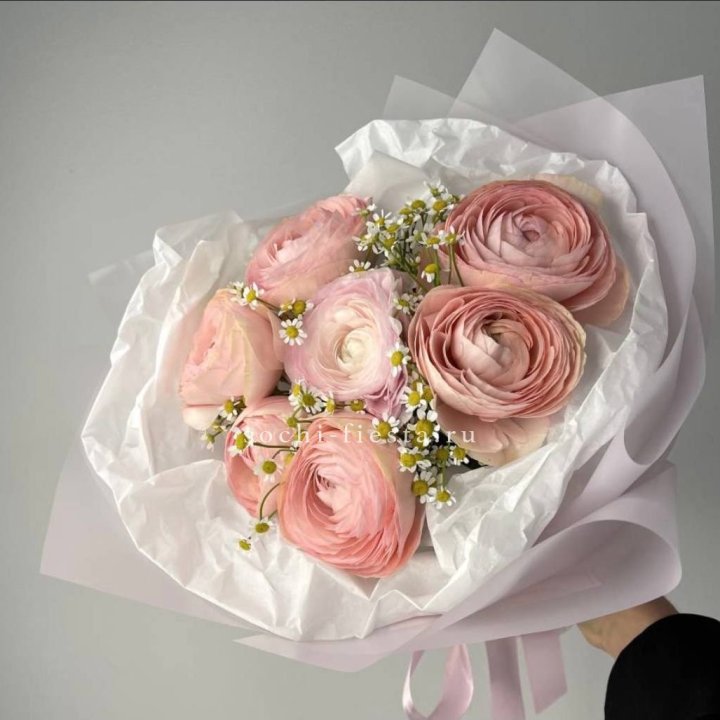 Ранункулюсы с ромашками в Таганроге