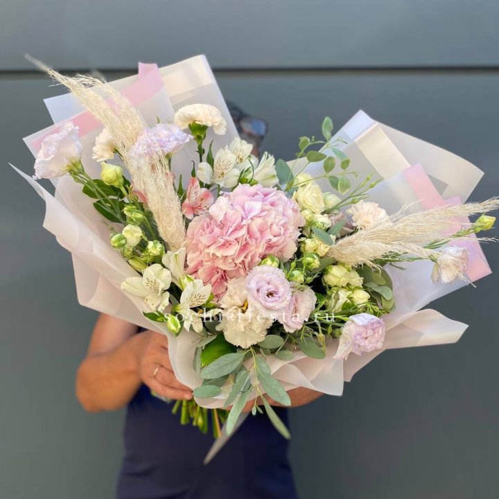 Гортензия "Пинк флоид" в Таганроге