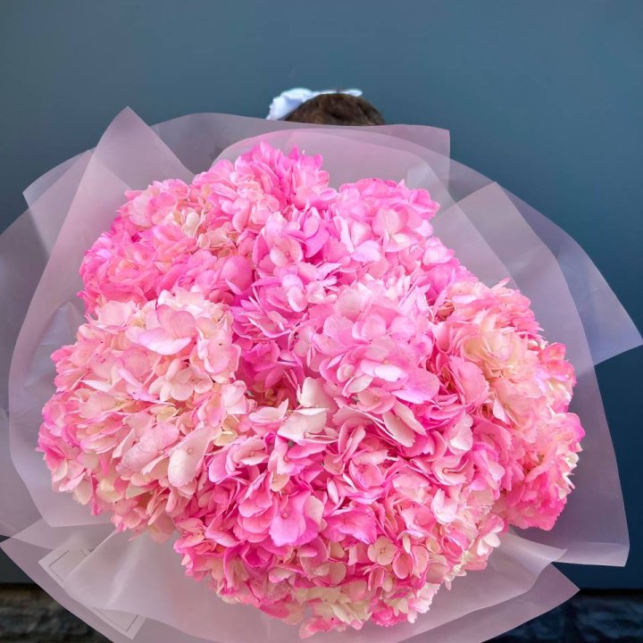 9 ярко розовых гортензий в Таганроге