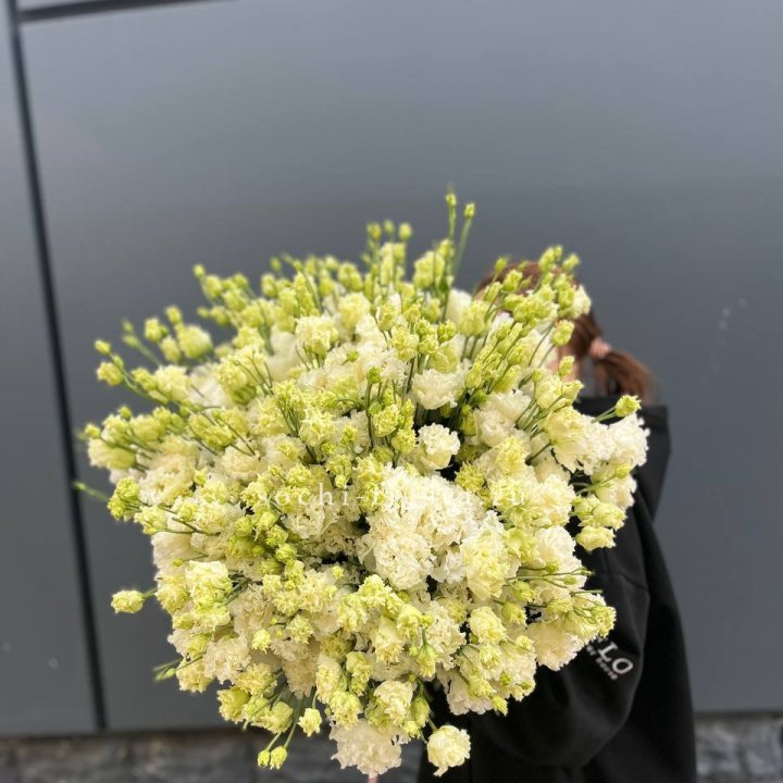 51 белая эустома в Таганроге