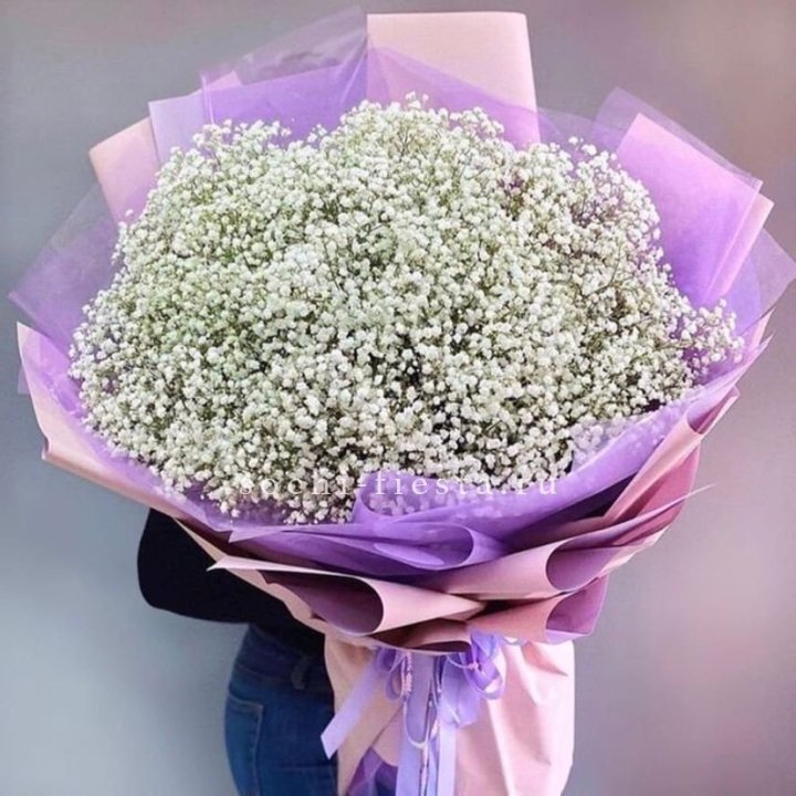 Облако белых гипсофил в Таганроге