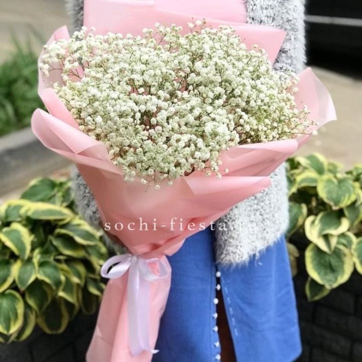 Белоснежные гипсофилы в Таганроге