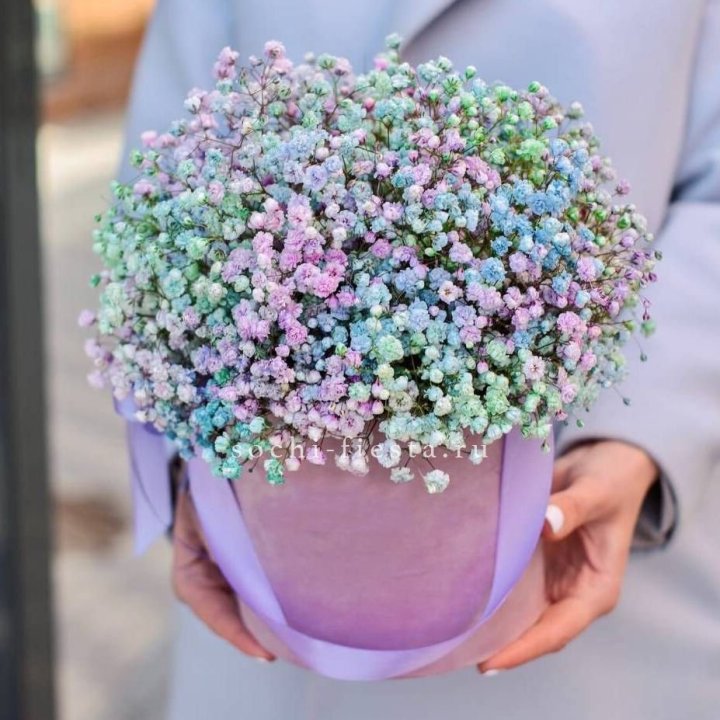 Гипсофилы в шляпной коробке "Кандилайт" в Таганроге