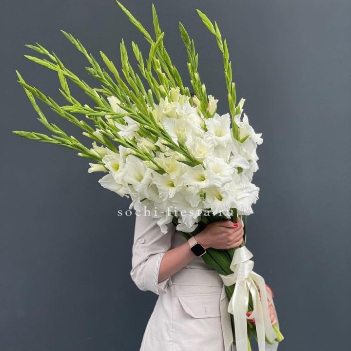 19 белых гладиолусов под ленту в Таганроге