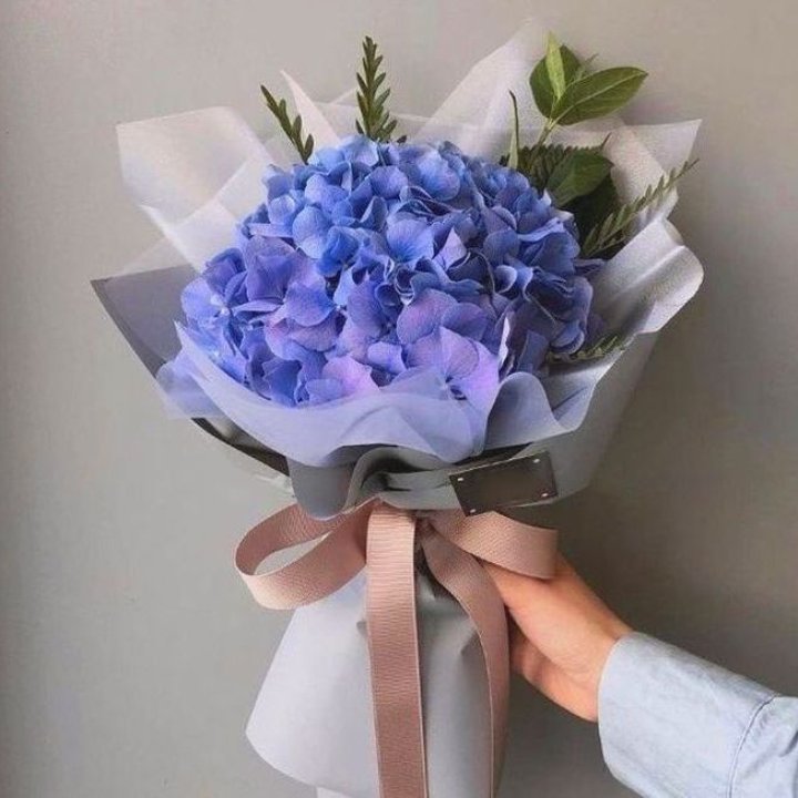 Гортензия голубая в Таганроге