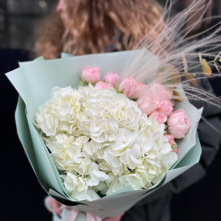 Гортензия "Жасмин" в Таганроге