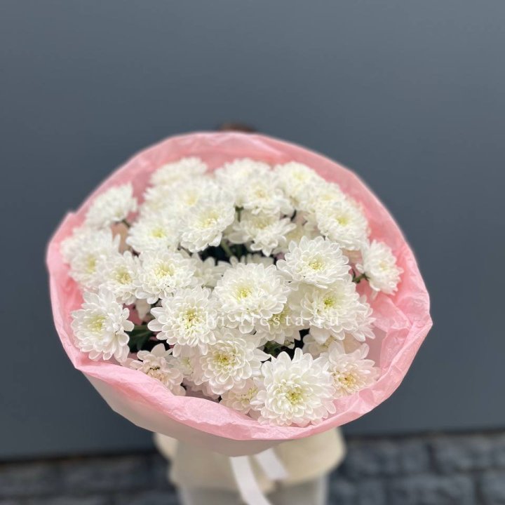  5 хризантем  в Таганроге