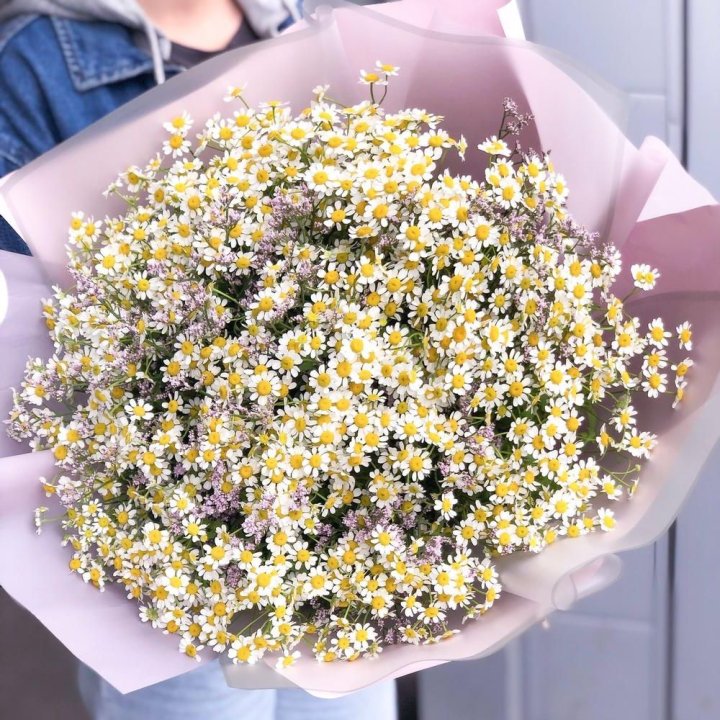 Букет ромашек №1 в Таганроге