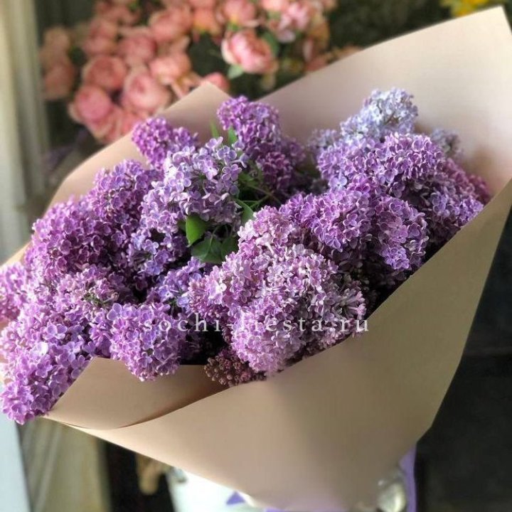 Букет сирени №2 в Таганроге