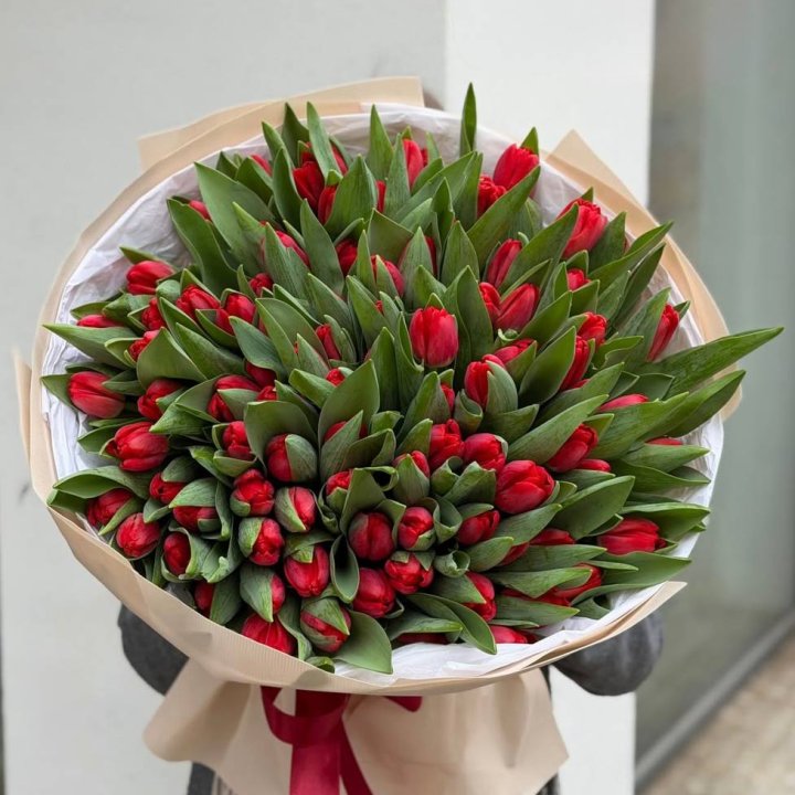 101 красный тюльпан в Таганроге