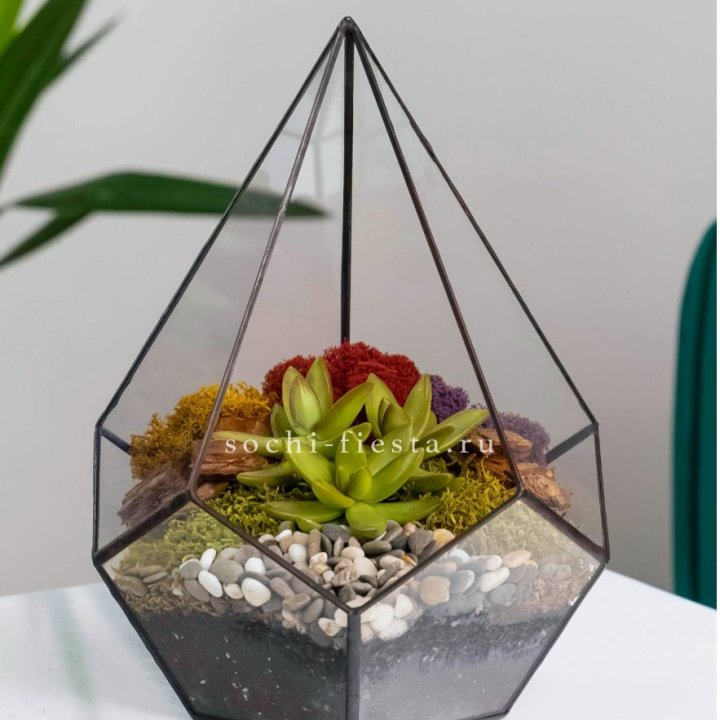 Флорариум Капля с суккулентом в Таганроге