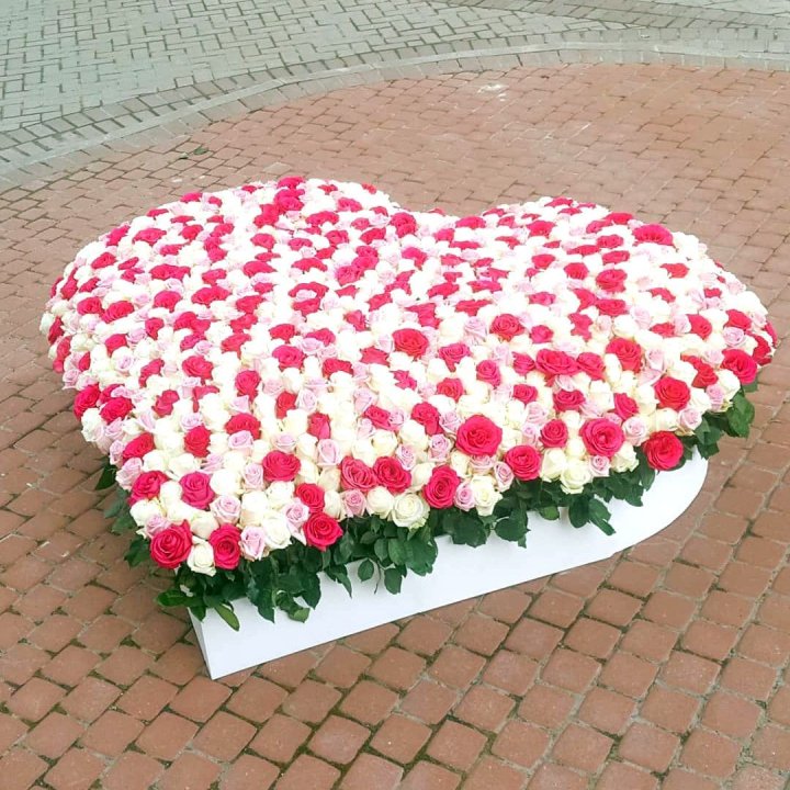 555 роза  в Таганроге