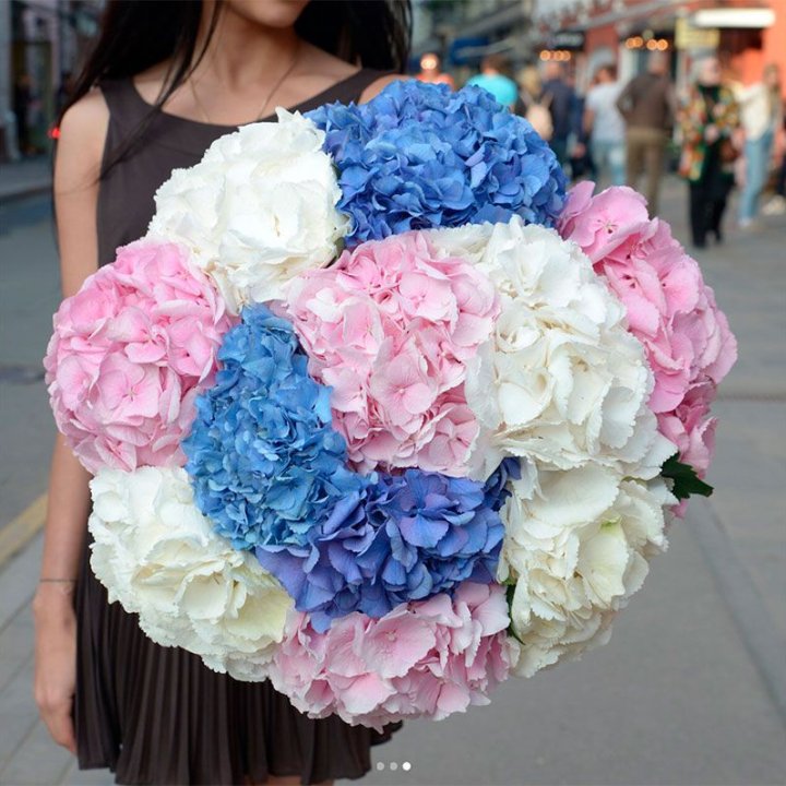 Букет гортензий "Инь-Янь" в Таганроге