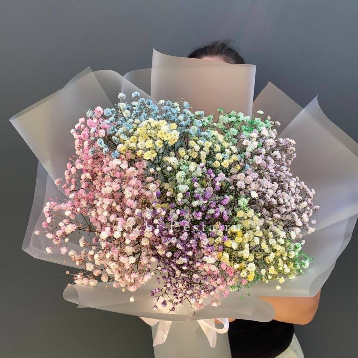 Радужные гипсофилы  в Таганроге