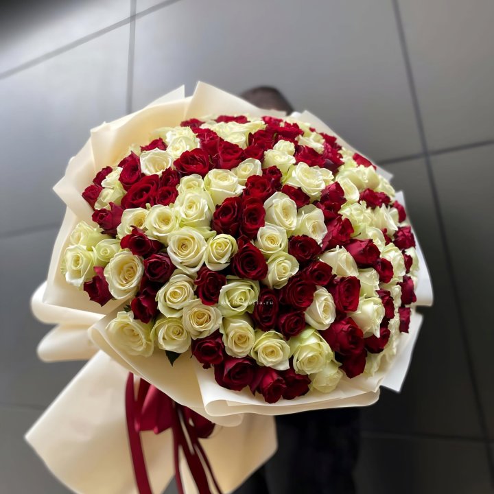 101 высокая импортная роза  в Таганроге