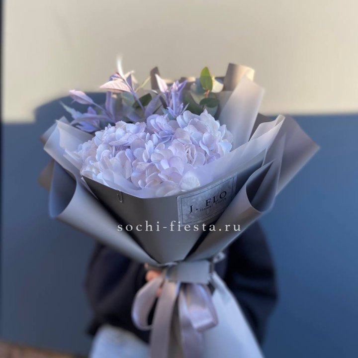 Гортензия "Виолета" в Таганроге