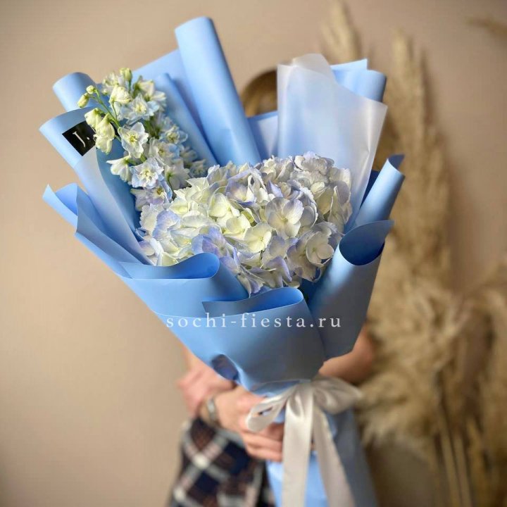 Гортензия "Блю скай" в Таганроге