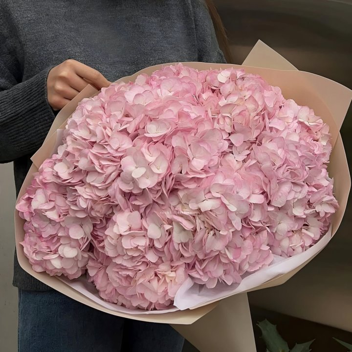 Гортензия  "РОЗЕ" в Таганроге