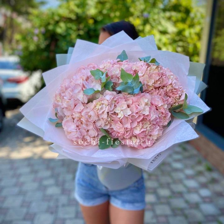 5 розовых гортензий  в Таганроге