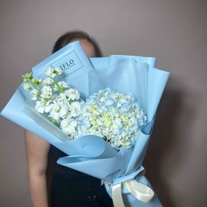 Гортензия голубая с маттиолой в Таганроге