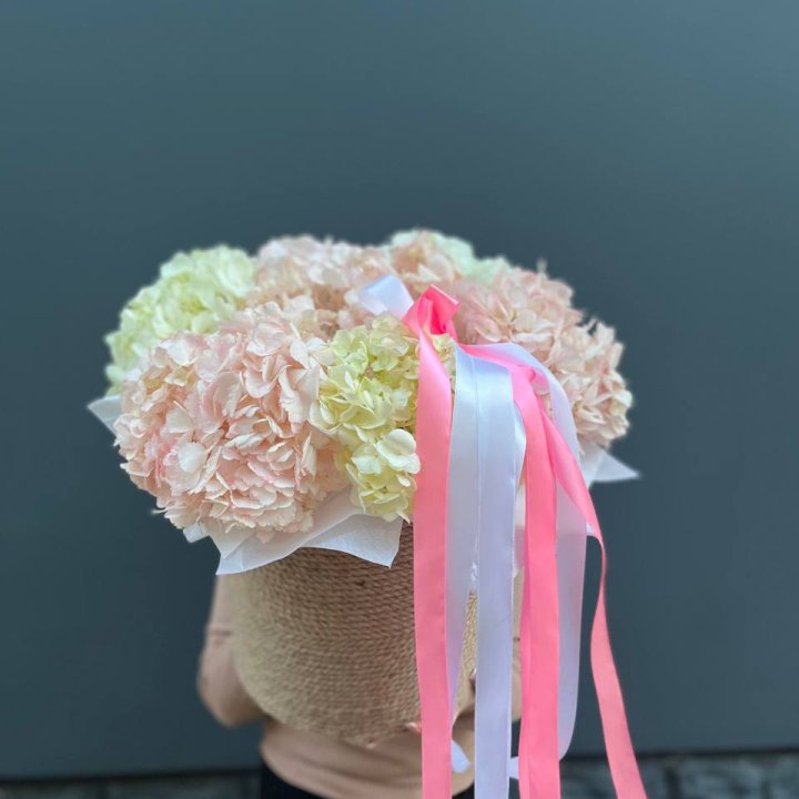 7 гортензий в кашпо в Таганроге