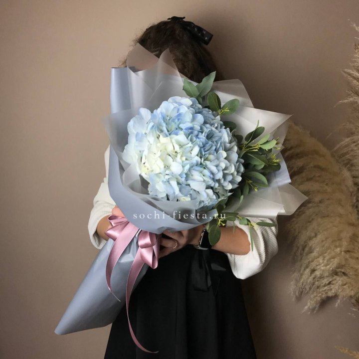 Гортензия Уно в Таганроге