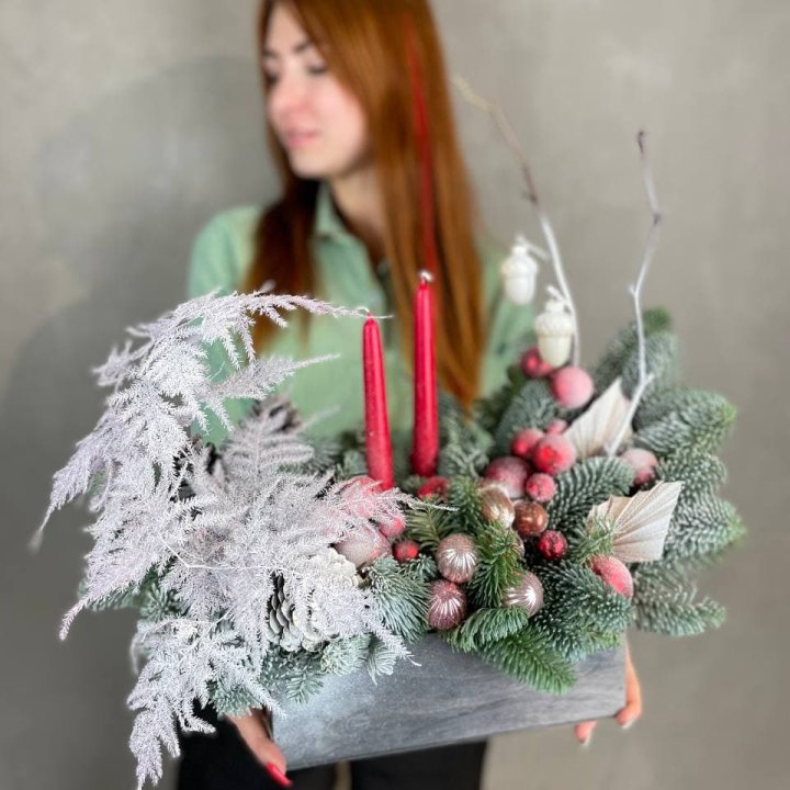 Бокс красный с нобилисом в Таганроге