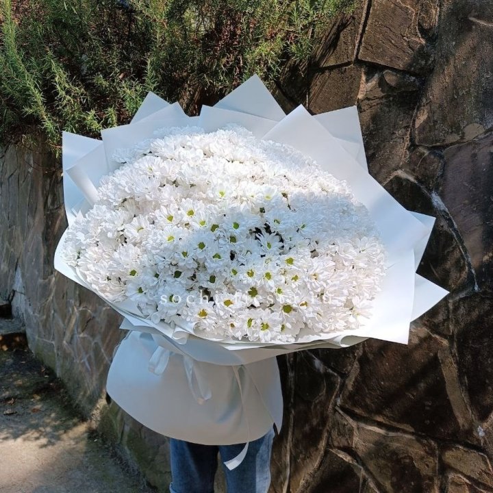 Облако хризантем №2 в Таганроге