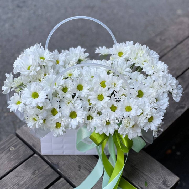 Сумка с хризантемами ромашками в Таганроге