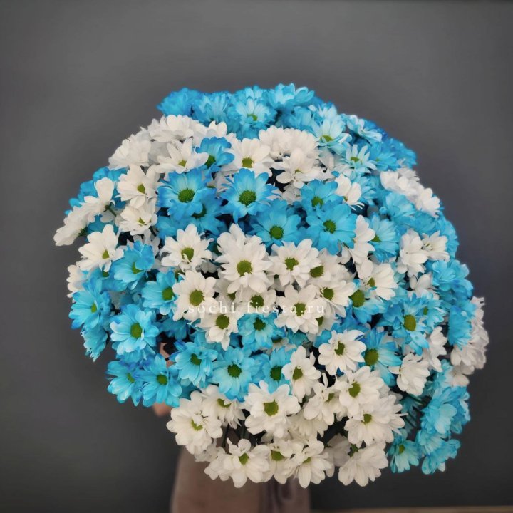  Букет хризантем микс в Таганроге