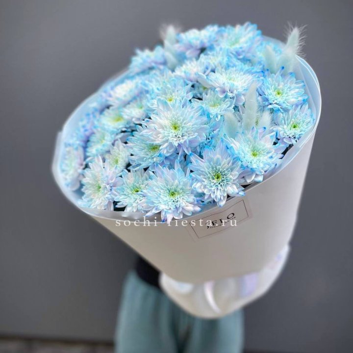  Букет нежно-голубых хризантем  в Таганроге