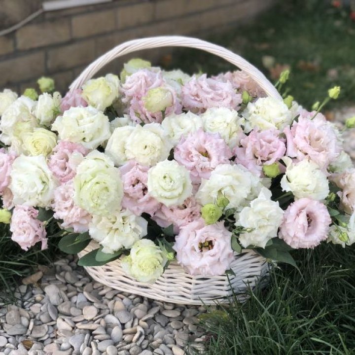 Корзина с эустомой в Таганроге