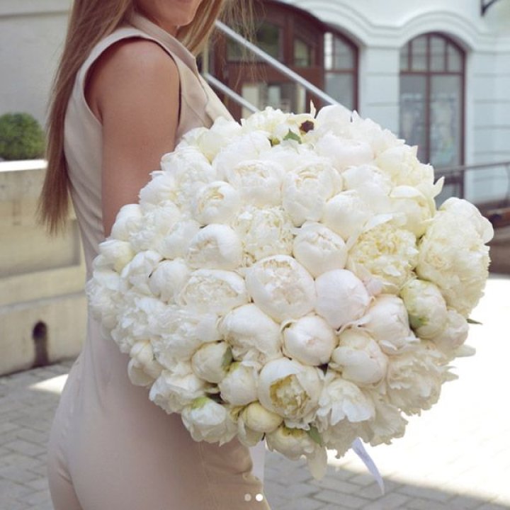 51 белый пион в Таганроге