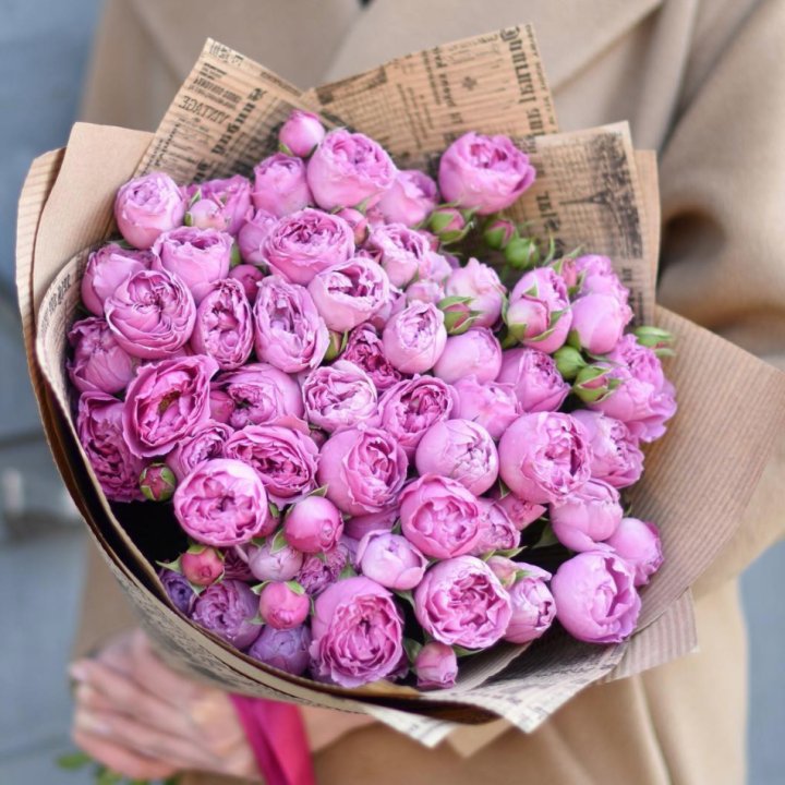 Роза Мисти Баблс в Таганроге