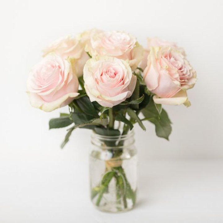 7 кремовых роз в Таганроге