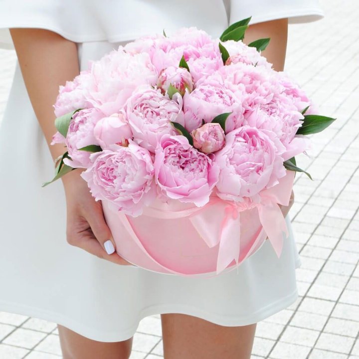 Пионы в шляпной коробке в Таганроге