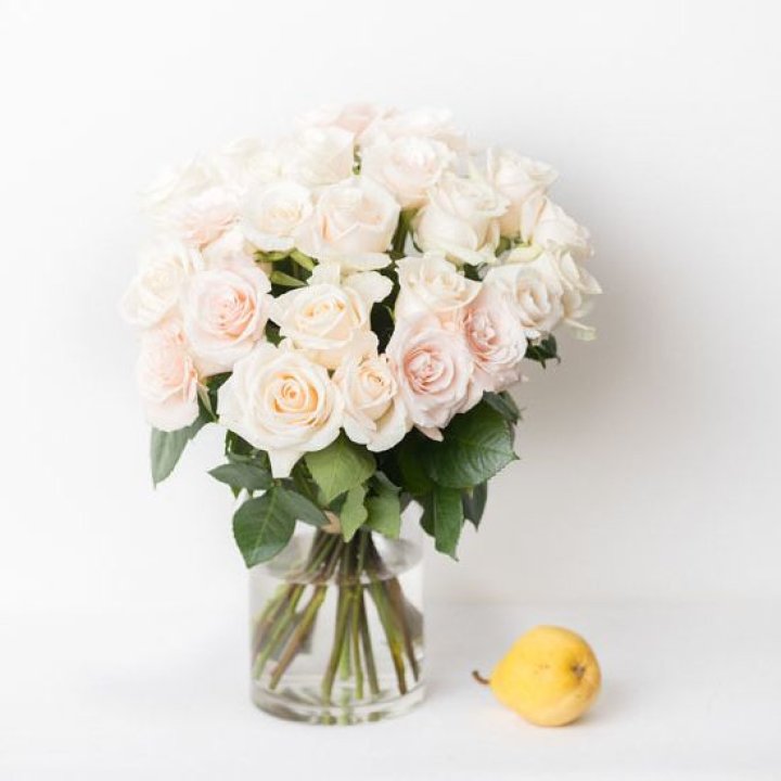 25 кремовых роз в Таганроге