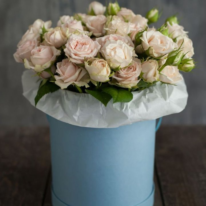 Бокс с бомбастиком в Таганроге