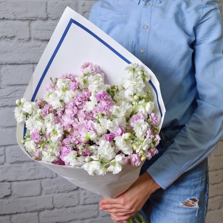 Маттиола в Таганроге