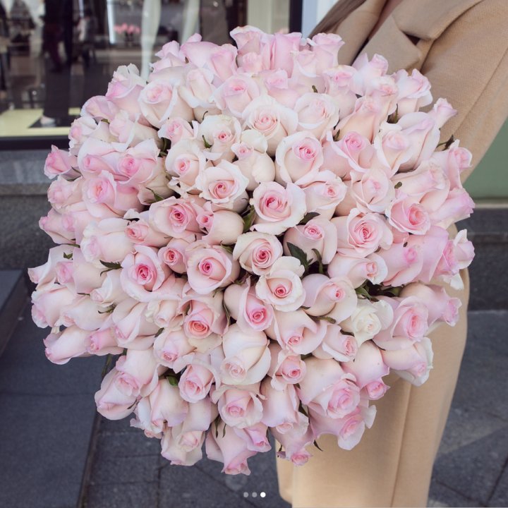 Розы "Пинк бум" в Таганроге