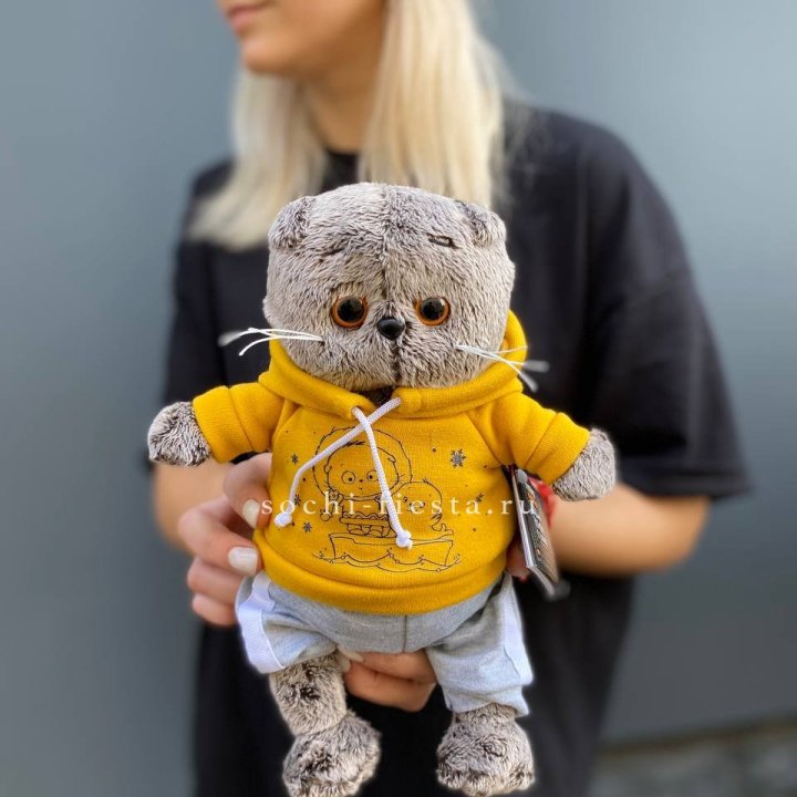 Кот Басик в худи в Таганроге