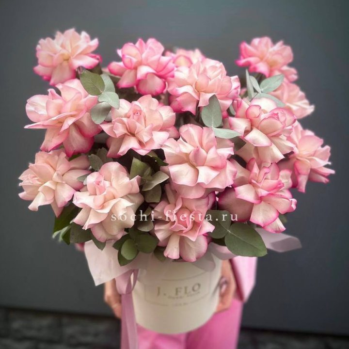 17 Французских  роз Венди в боксе в Таганроге