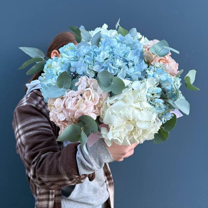 Гортензии в коробочке в Таганроге