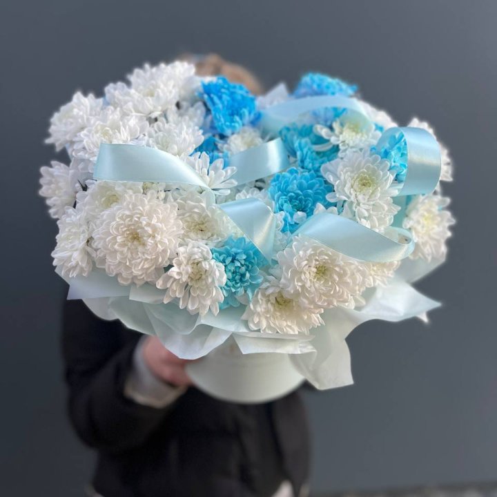 Хризнтемы в боксе в Таганроге