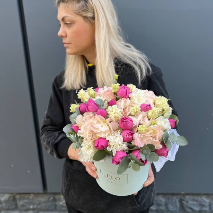 Сборный бокс премьер в Таганроге